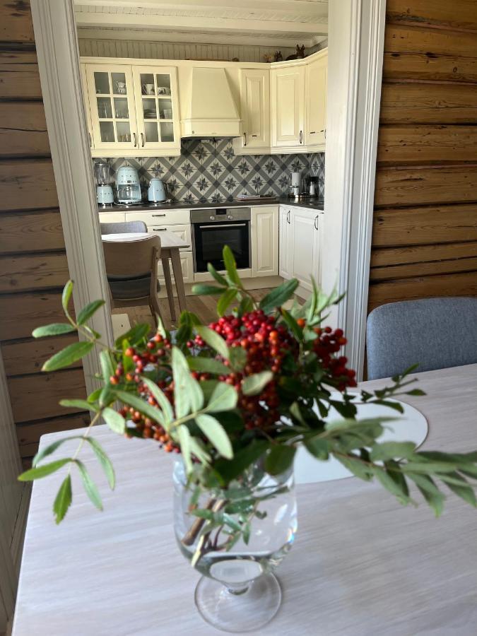 ריינה Lofoten Villa מראה חיצוני תמונה